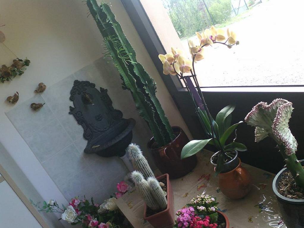 Il Cerchio Delle Fate Villa Torgiano Luaran gambar